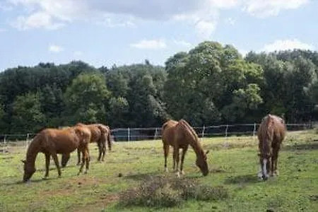 Poggio Ai Legni Sovicille