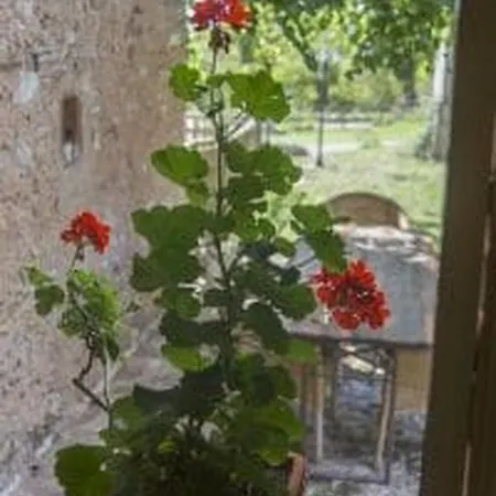 Vakantieboerderij Poggio Ai Legni